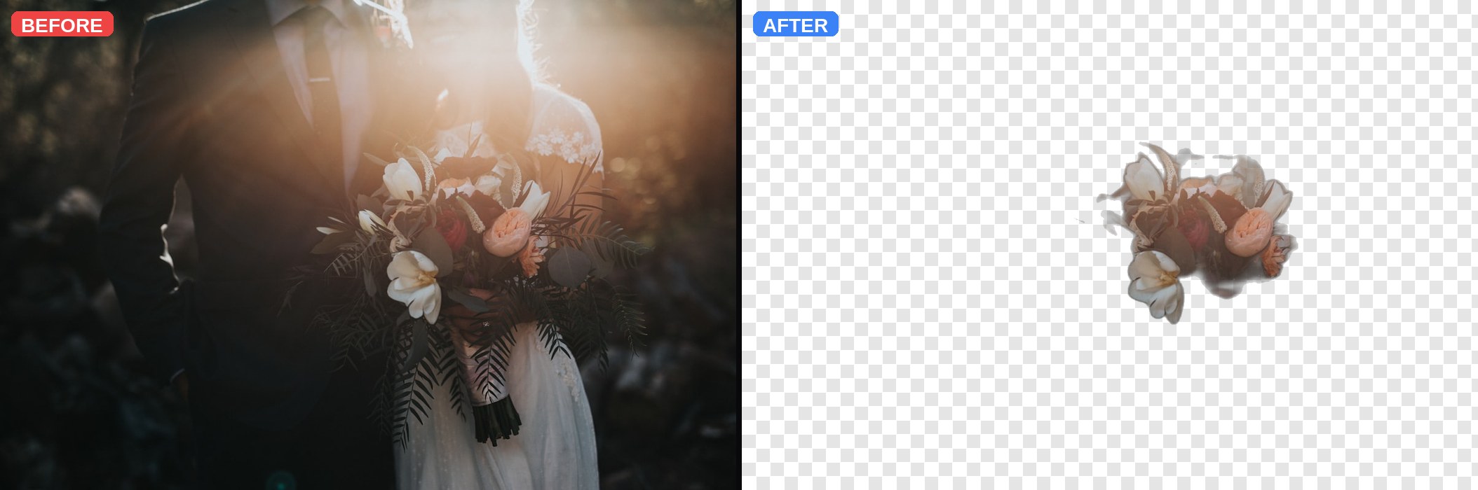 Group photo — before and after background removal